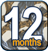 ZyGain Patches 12 Months Package